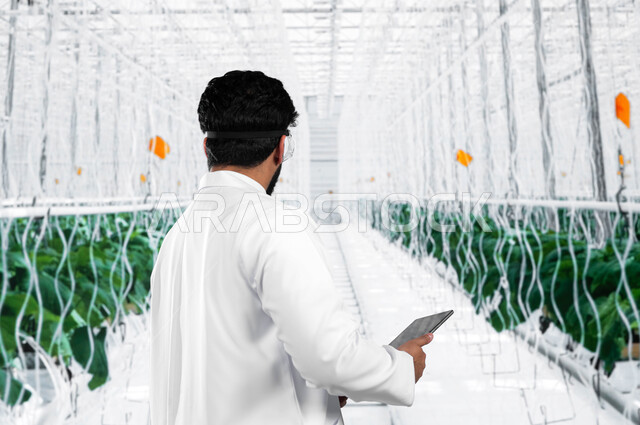 نظام الزراعة بتدفئة آلية بدون تربة, تلقيح النباتات في المعامل، صورة من الخلف لمهندس زراعي عربي سعودي خليجي يستخدم جهاز التابلت في دفيئه زراعية، زيادة جودة المحاصيل الزراعيه في المملكة العربية السعوديه، انتاج نباتات طبيعيه متميزه ونادره في البيوت المحمية 