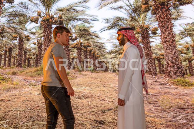  محاصيل زراعيه سعوديه, دردشة ومحادثات مع الزوار الاجانب، الدليل السياحي للسياح ،منتجات محليه وطنيه, موسم حصاد التمور, مزارع النخيل في السعودية ، رجل عربي خليجي سعودي مع سائح أجنبي يرتدي الزي التقليدي يقفان أمام اشجار النخيل المثمرة في محميه طبيعيه