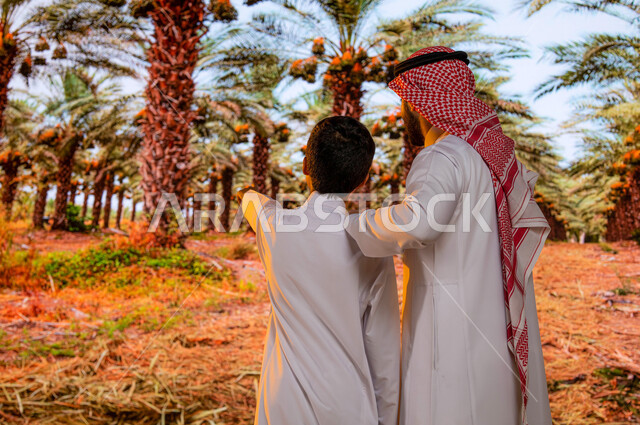 Educational family trips, Saudi agricultural crops, national local products, date palm farms in Saudi Arabia during the date harvest season, a picture from behind of a Saudi Arabian Gulf man with his son wearing traditional clothes looking at the fruitful