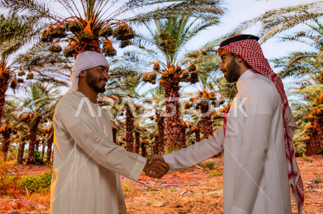 التعارف والمصافحة بين الاصدقاء، محميه طبيعيه لزراعة النخل ،محاصيل زراعيه سعوديه, منتجات محليه وطنيه, مزارع النخيل في السعودية ، صورة مقربة لسائح عربي اماراتي خليجي يرتدي العمامة والكندورة مع رجل سعودي يقفان أمام اشجار النخيل المثمرة في موسم حصاد التمور