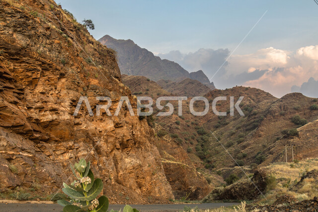 Peaks, heights and rock formations in Saudi Arabia, Hamar Valley in the Jazan region in the Kingdom of Saudi Arabia, the mountainous environment and green trees, the natural tourist attractions of Jazan.