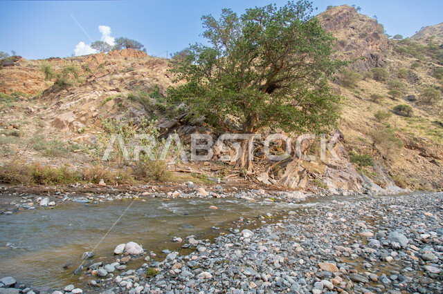 المياه الجارية بين الأودية والجبال في منطقة جازان في المملكة العربية السعودية, معالم جازان الطبيعية السياحية, القمم والمرتفعات و التكوينات الصخرية في السعوديه، البيئة الجبلية و الأشجار الخضراء.