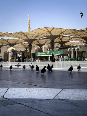 Pigeons in the outer courtyard of the Prophet's Mosque in Medina in the Kingdom of Saudi Arabia, electronic umbrellas in the courtyards of the Messenger of God Mosque, Islamic religious landmarks and sacred places