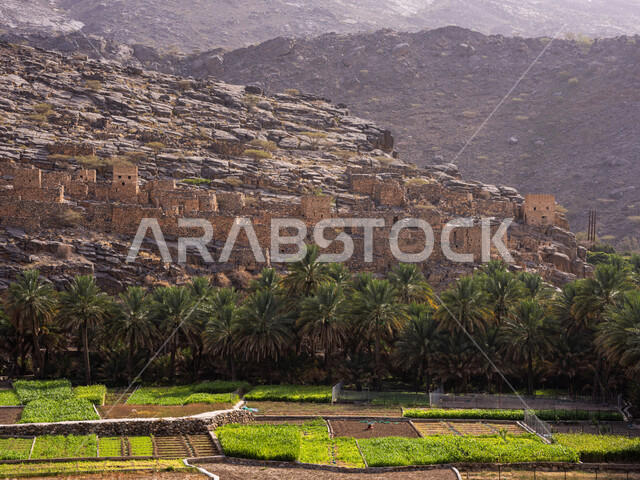 صورة من الاعلى للمرتفعات الجبلية والتكوينات الصخرية الطبيعية في سلطنة عمان ,زراعه الاشجار و النباتات الخضراء  ,معالم تاريخيه اثرية, جبل شمس شمال غرب عمان, أماكن سياحيه مشهورة, خلفية الطبيعه