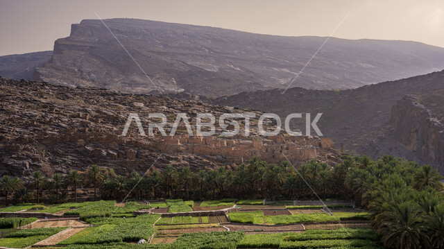 زراعه الاشجار و النباتات الخضراء  ,معالم تاريخيه اثرية, المرتفعات الجبلية والتكوينات الصخرية الطبيعية في سلطنة عمان ,جبل شمس شمال غرب عمان, أماكن سياحيه مشهورة, خلفية الطبيعه