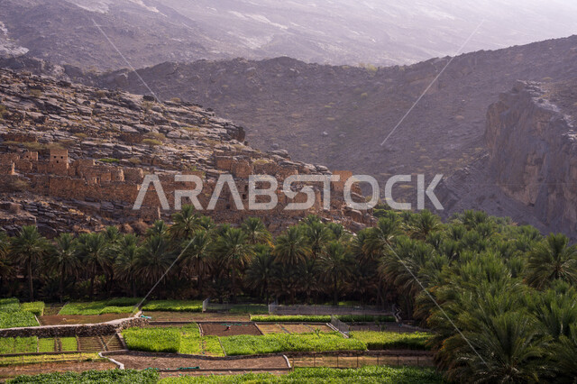 زراعه النباتات الخضراء و الاشجار ,معالم تاريخيه اثرية, المرتفعات الجبلية والتكوينات الصخرية الطبيعية في سلطنة عمان ,جبل شمس شمال غرب عمان, أماكن سياحيه مشهورة, خلفية الطبيعه