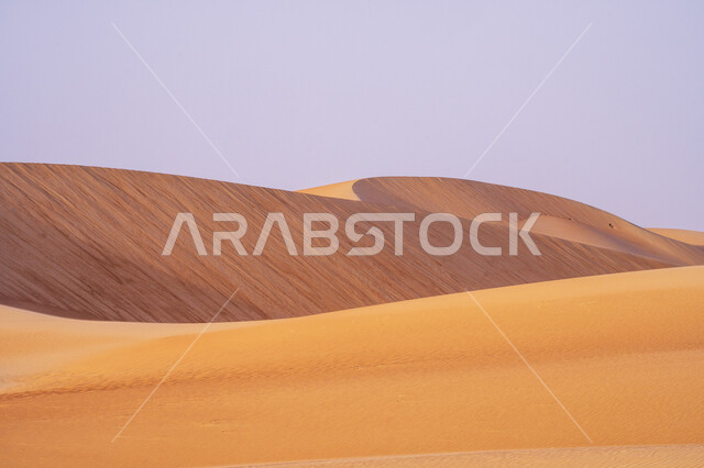 المناظر الطبيعية في البيئة الصحراوية ،  التلال و الكثبان الرملية, تشكيلات الرمال الذهبية الناعمة, خلفية الطبيعه الصحراوية