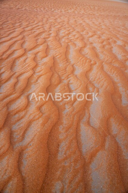 Close-up of soft golden sand formations in the Empty Quarter desert in Saudi Arabia, landscape in a desert environment, hills and sand dunes, desert landscape background