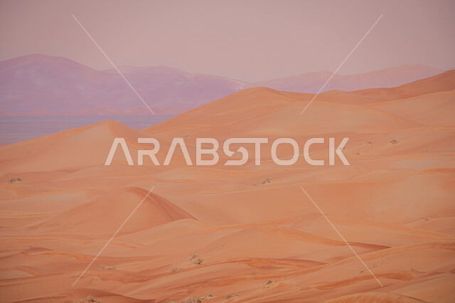 التلال و الكثبان الرملية في صحراء الربع الخالي, المناظر الطبيعية في البيئة الصحراوية في المملكه العربيه السعودية، تشكيلات الرمال الذهبية الناعمة, خلفية الطبيعه الصحراوية