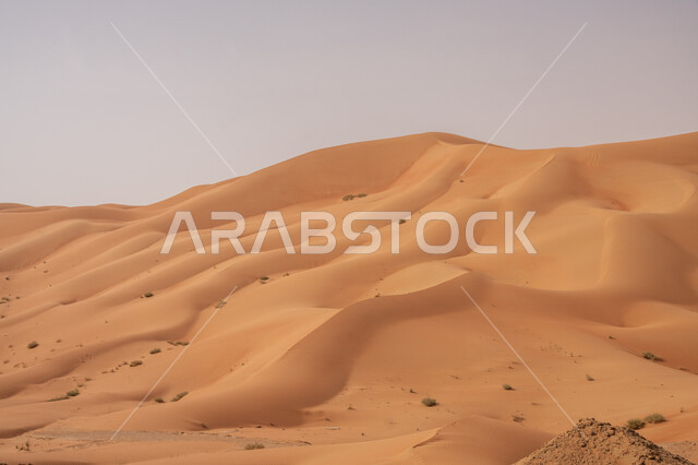 التلال و الكثبان الرملية في صحراء الربع الخالي, المناظر الطبيعية في البيئة الصحراوية في المملكه العربيه السعودية، تشكيلات الرمال الذهبية الناعمة, خلفية الطبيعه الصحراوية