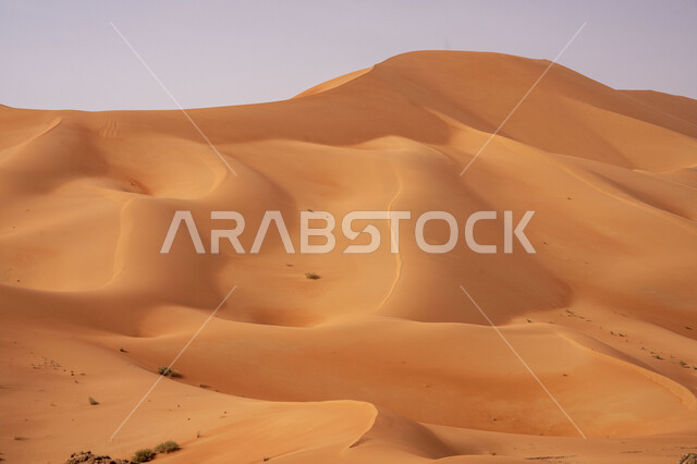  خلفية الطبيعه الصحراوية, المناظر الطبيعية في البيئة الصحراوية ، التلال و الكثبان الرملية, تشكيلات الرمال الذهبية الناعمة