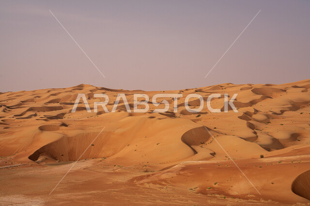Desert nature background, landscapes in the desert environment, hills and sand dunes, soft golden sand formations