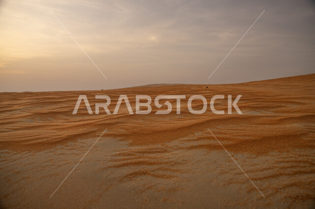 Sand dunes and hills in the Empty Quarter desert in the Kingdom of Saudi Arabia, landscapes in the desert environment, soft golden sand formations, desert nature wallpaper