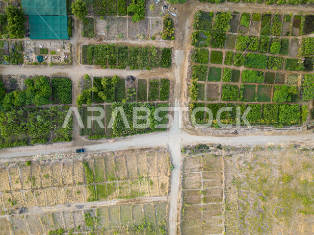 المشاتل والنباتات الخضراء، صورة جوية للحقول الزراعية  بالمملكة العربية السعودية، أراضي ومحاصيل زراعية محلية، تقدم وتطور القطاع الزراعي، زراعة الخضراوات الطبيعية.