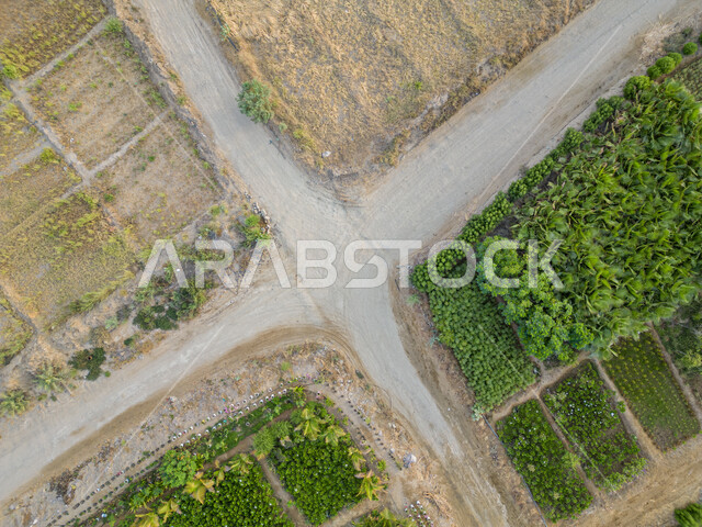 المشاتل والنباتات الخضراء، صورة جوية للحقول الزراعية  بالمملكة العربية السعودية، أراضي ومحاصيل زراعية محلية، تقدم وتطور القطاع الزراعي، زراعة الخضراوات الطبيعية.