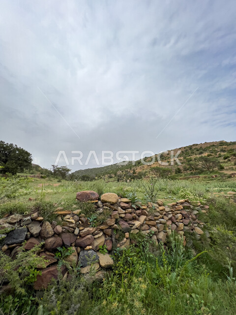 البيئة الطبيعية في المملكة العربية السعودية، الأشجار والنباتات الخضراء في جبال السودة بعسير، أماكن ومنتزهات خضراء في منطقة عسير، مناطق سياحية جبلية خضراء, السياحة في السعودية