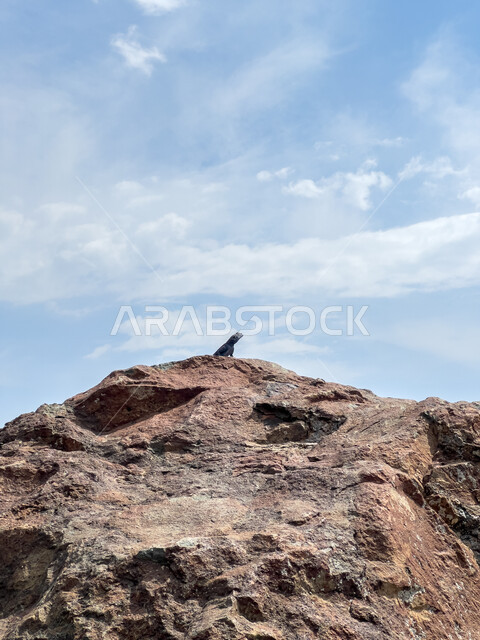  منظر السحب البيضاء في السماء، صورة مقربة لصخرة في حديقة الأمير مشاري بن سعود شمال غرب الباحة في المملكة العربية السعودية، البيئة الطبيعية في الباحة، أماكن سياحية  مشهورة.