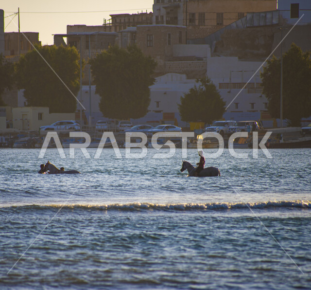 ترويض وتدريب الخيول، هواية ركوب الخيل العربي الأصيل، فارس عربي خليجي سعودي يمتطي الخيل داخل البحر، مهارات وأنشطة ترفيهية، المنازل والبيوت الاثرية على شاطئ البحر, الطبيعة البحرية في المملكة العربية السعودية