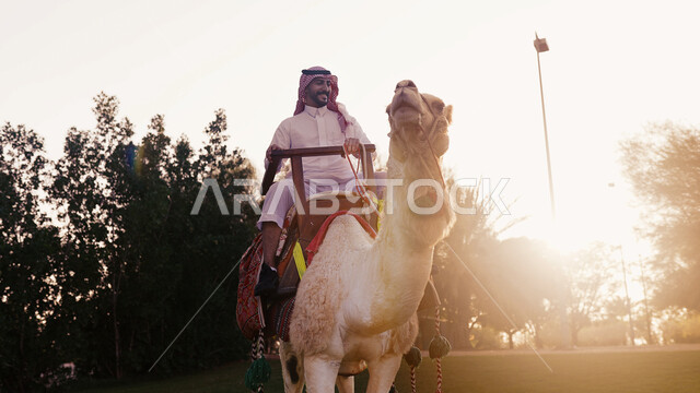 قضاء أوقات ممتعة وأنشطة ترفيهية ممتعه مع الحيوانات، فعاليات ركوب الجمال، رجل عربي سعودي خليجي يرتدي الثوب والشماغ السعودي، في احدى الحدائق العامه ، فعالية سفاري موسم الرياض، ايماءات تدل على السعادة، تربيه المواشي والجمال والابل