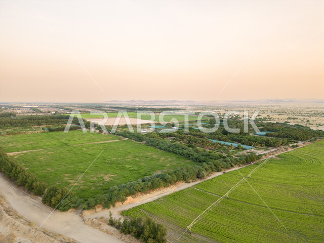 المشاتل والنباتات الخضراء، صورة جوية للحقول الزراعية  بالمملكة العربية السعودية، أراضي ومحاصيل زراعية محلية، تقدم وتطور القطاع الزراعي، زراعة الخضراوات الطبيعية.