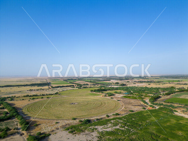 تقدم وتطور القطاع الزراعي، النباتات والمروج الخضراء في فصل الربيع، صورة جوية لحقول زراعية دائرية، أراضي ومحاصيل محلية بالمملكة العربية السعودية، زراعة الخضراوات الطبيعية، منتج وطني سعودي، محور زراعي 