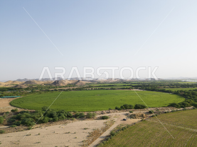 زراعة الخضراوات الطبيعية، النباتات والمروج الخضراء في فصل الربيع، صورة جوية لحقول زراعية دائرية، أراضي ومحاصيل محلية بالمملكة العربية السعودية، تقدم وتطور القطاع الزراعي، منتج وطني سعودي، محور زراعي 