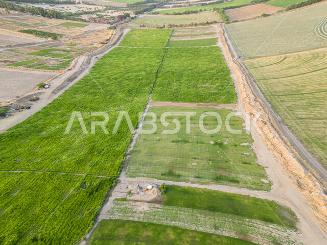 المشاتل والنباتات الخضراء، صورة جوية للحقول الزراعية  بالمملكة العربية السعودية، أراضي ومحاصيل زراعية محلية، تقدم وتطور القطاع الزراعي، زراعة الخضراوات الطبيعية.