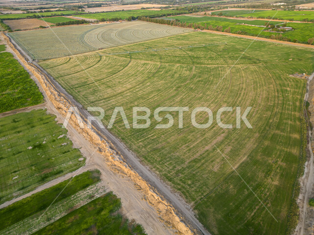 منتج وطني سعودي، النباتات والمروج الخضراء في فصل الربيع، صورة جوية لحقول زراعية دائرية، أراضي ومحاصيل محلية بالمملكة العربية السعودية، تقدم وتطور القطاع الزراعي، زراعة الخضراوات الطبيعية، محور زراعي 