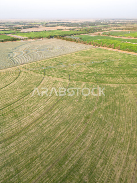 منتج وطني سعودي، النباتات والمروج الخضراء في فصل الربيع، صورة جوية لحقول زراعية دائرية، أراضي ومحاصيل محلية بالمملكة العربية السعودية، تقدم وتطور القطاع الزراعي، زراعة الخضراوات الطبيعية، محور زراعي 