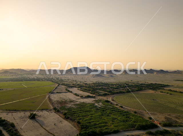 الاهتمام بالزراعة لتنمية وتطوير الاقتصاد، المشاتل والنباتات الخضراء، صورة جوية للحقول الزراعية  بالمملكة العربية السعودية، أراضي ومحاصيل زراعية محلية، تقدم وتطور القطاع الزراعي، زراعة الخضراوات الطبيعية.