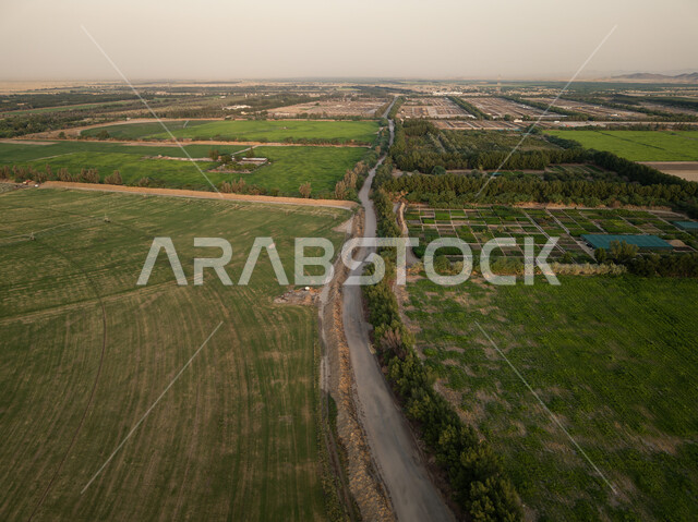 الاهتمام بالزراعة لتنمية وتطوير الاقتصاد، المشاتل والنباتات الخضراء، صورة جوية للحقول الزراعية  بالمملكة العربية السعودية، أراضي ومحاصيل زراعية محلية، تقدم وتطور القطاع الزراعي، زراعة الخضراوات الطبيعية.