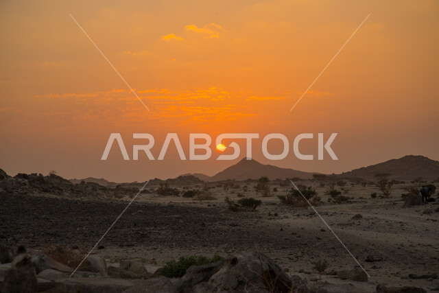 الأعشاب والنباتات البرية ،القمم والمرتفعات الجبلية وقت غروب الشمس, الهضاب و التلال في المناطق الجبلية, الطريق البري بين المملكه وقطر، المناظر الصحراويه والطبيعه الجبليه والكثبان الرمليه على طريق سلوى في المملكة العربية السعودية، خلفية الطبيعه