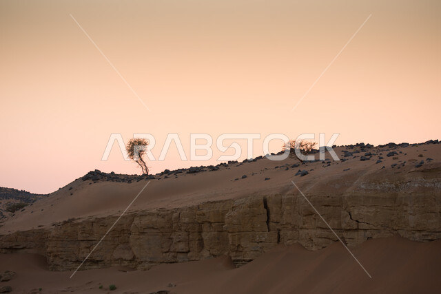 التكوينات والتشكيلات الصخرية، الطريق البري بين المملكه وقطر، المناظر الصحراويه والطبيعه الجبليه والكثبان الرمليه على طريق سلوى في المملكة العربية السعودية، شجرة جافة في الاراضي الصحراوية, الحجارة الصخرية و التلال والهضاب في المناطق الجبلية, خلفية الطبيعه