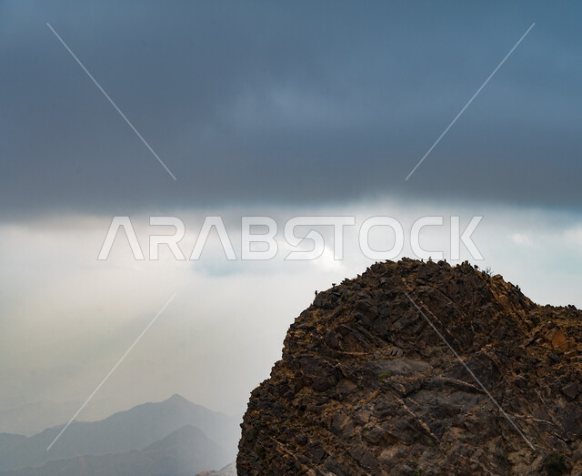 مجموعة من قرود البابون فوق القمم والمرتفعات الجبلية الصخرية في مدينة الطائف في المملكة العربية السعودية، الطبيعة البرية والجبلية في السعودية، محمية طبيعية لتربية الحيوانات