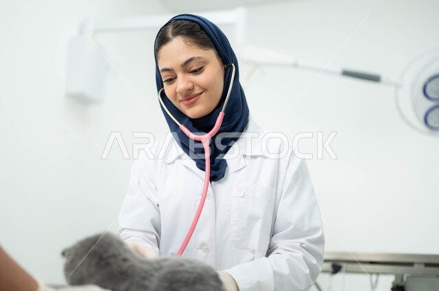 تقديم الفحوصات والعلاجات المناسبة للقطط، صورة مقربة لقطة رمادية صغيرة بإيماءات الحزن والتعب في العيادة البيطرية، طبيبة بيطرية عربية خليجية سعودية ترتدي الحجاب والمريول الابيض تقوم بفحص ومعالجة الحيوان، مفهوم الرفق والاعتناء بالحيوانات المنزلية