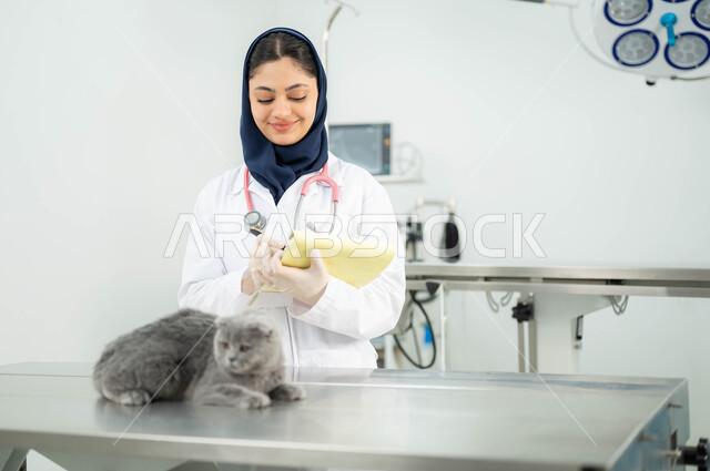 زيارة المراكز والعيادات البيطرية السعودية، مفهوم الاهتمام والعناية بالحيوانات الاليفة، صورة مقربة لطبيبة بيطرية عربية خليجي سعودية مبتسمة ترتدي الحجاب والمريول الابيض تقوم بتدوين معلومات وبيانات القطة الرمادية الصغيرة