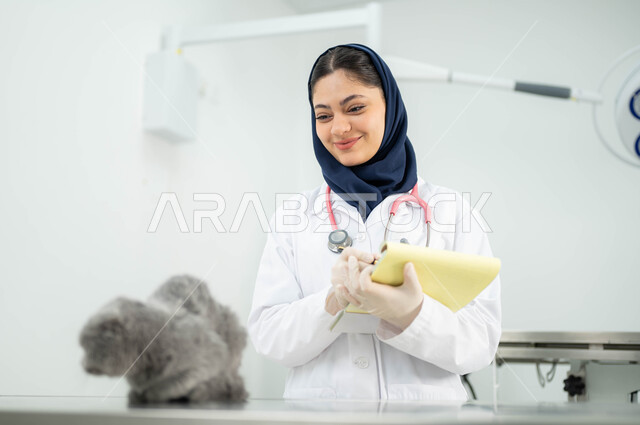 زيارة المراكز والعيادات البيطرية السعودية، مفهوم الاهتمام والعناية بالحيوانات الاليفة، صورة مقربة لطبيبة بيطرية عربية خليجي سعودية مبتسمة ترتدي الحجاب والمريول الابيض تقوم بتدوين معلومات وبيانات القطة الرمادية الصغيرة