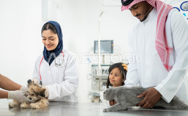 The importance of periodic medical examination for cats and dogs, the concept of attention and care for household pets, a veiled veterinarian examining and treating a small gray cat, a Saudi Arab Gulf man wearing a traditional thobe and shemagh visiting veterinary centers and clinics accompanied by his daughter