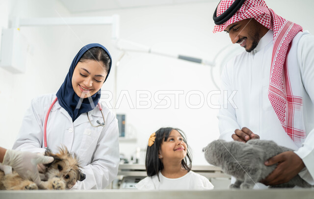 The importance of periodic medical examination for cats and dogs, the concept of attention and care for household pets, a veiled veterinarian examining and treating a small gray cat, a Saudi Arab Gulf man wearing a traditional thobe and shemagh visiting veterinary centers and clinics accompanied by his daughter