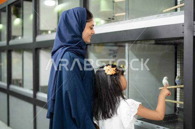 زيارة محلات ومتاجر بيع وشراء الحيوانات والطيور الأليفة، الشغف بتربية الحيوانات الاليفة في المنزل،غرف زجاجية خاصة لحفظ العصافير، صورة مقربة لأم عربية خليجية سعودية محجبة ترتدي العباءة الخليجية تقوم بمشاهدة الطيور وقضاء اوقات ممتعة ومسلية برفقة ابنتها الصغيرة