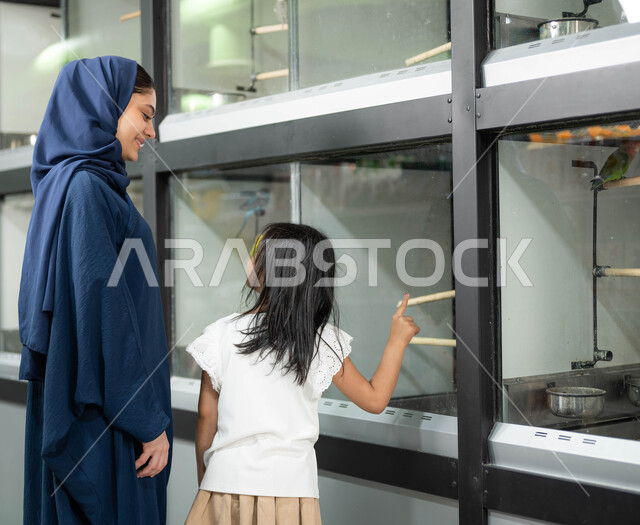 غرف زجاجية خاصة لحفظ العصافير، قضاء وقت ممتع ومسلي في مشاهدة الطيور، أم عربية خليجية سعودية محجبة ترتدي العباءة الخليجية تقوم بزيارة محلات ومتاجر بيع وشراء الحيوانات والطيور الأليفة برفقة ابنتها الصغيرة، الشغف بتربية الحيوانات الاليفة في المنزل