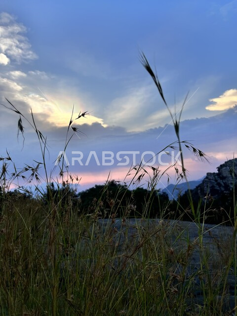 الغيوم والسحب وقت غروب الشمس في محافظة تنومة في المملكة العربية السعودية، صورة مقربة للنباتات العشبية الخضراء في القمم والمرتفعات والجبال الصخرية في مدينة عسير، خلفية الطبيعة