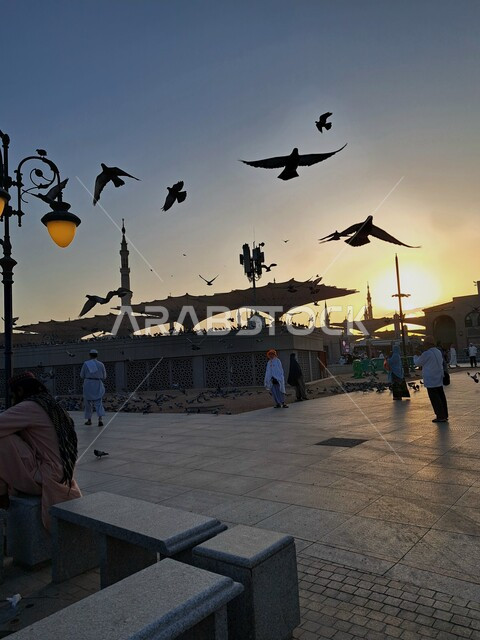 تجمع المسلمين في الساحات الخارجية للمسجد النبوي الشريف في المدينة المنورة في المملكة العربية السعودية، المظلات الإلكترونية الكبيرة وقت غروب الشمس، مجموعة من الطيور تحلق في مسجد رسول الله، معالم اسلامية دينية مقدسة