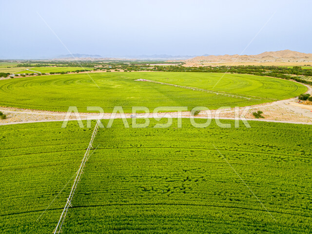 إستخدام أذرع الري المحوري في تنمية البيئة والقطاع الزراعي، المحاصيل والأراضي الزراعية الخضراء، زراعة الأشجار والنباتات الطبيعية الخضراء، الحقول الزراعية الدائرية في المساحات الواسعة في السعودية، آلات ومعدات الري المستقبلي