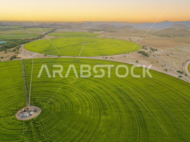 الحقول الزراعية الدائرية في المساحات الواسعة في السعودية، المحاصيل والأراضي الزراعية الخضراء، إستخدام أذرع الري المحوري في تنمية البيئة والقطاع الزراعي، زراعة الأشجار والنباتات الطبيعية الخضراء، آلات ومعدات الري المستقبلي