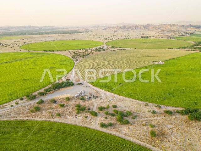 الحقول الزراعية الدائرية في المساحات الواسعة في السعودية، المحاصيل والأراضي الزراعية الخضراء، إستخدام أذرع الري المحوري في تنمية البيئة والقطاع الزراعي، زراعة الأشجار والنباتات الطبيعية الخضراء، آلات ومعدات الري المستقبلي