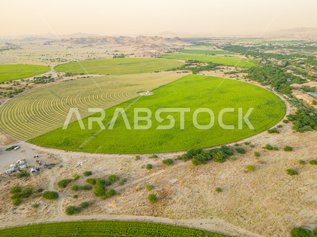 آلات ومعدات الري المستقبليالمحاصيل والأراضي الزراعية الخضراء، إستخدام أذرع الري المحوري في تنمية البيئة والقطاع الزراعي، زراعة الأشجار والنباتات الطبيعية الخضراء، الحقول الزراعية الدائرية في المساحات الواسعة في السعودية