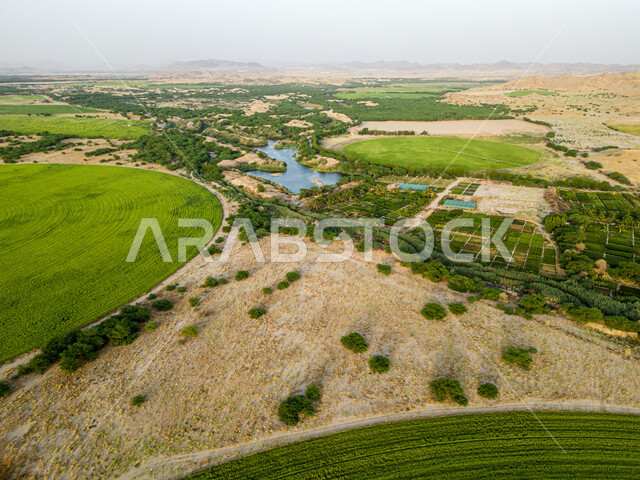 آلات ومعدات الري المستقبليالمحاصيل والأراضي الزراعية الخضراء، إستخدام أذرع الري المحوري في تنمية البيئة والقطاع الزراعي، زراعة الأشجار والنباتات الطبيعية الخضراء، الحقول الزراعية الدائرية في المساحات الواسعة في السعودية