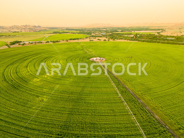 الحقول الزراعية الدائرية في المساحات الواسعة في السعودية، إستخدام أذرع الري المحوري في تنمية البيئة والقطاع الزراعي، المحاصيل والأراضي الزراعية الخضراء، زراعة الأشجار والنباتات الطبيعية الخضراء، آلات ومعدات الري المستقبلي