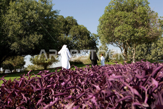 منظر العشب والأشجار الخضراء في وضح النهار، صوره من الخلف لزوجان عربيان خليجيان إماراتيان يرتديان الزي الإماراتي التقليدي يقومان بالمشي في الحديقة العامة برفقة ابنهم في دولة الإمارات العربية المتحدة، صورة الجسم بالطول الكامل